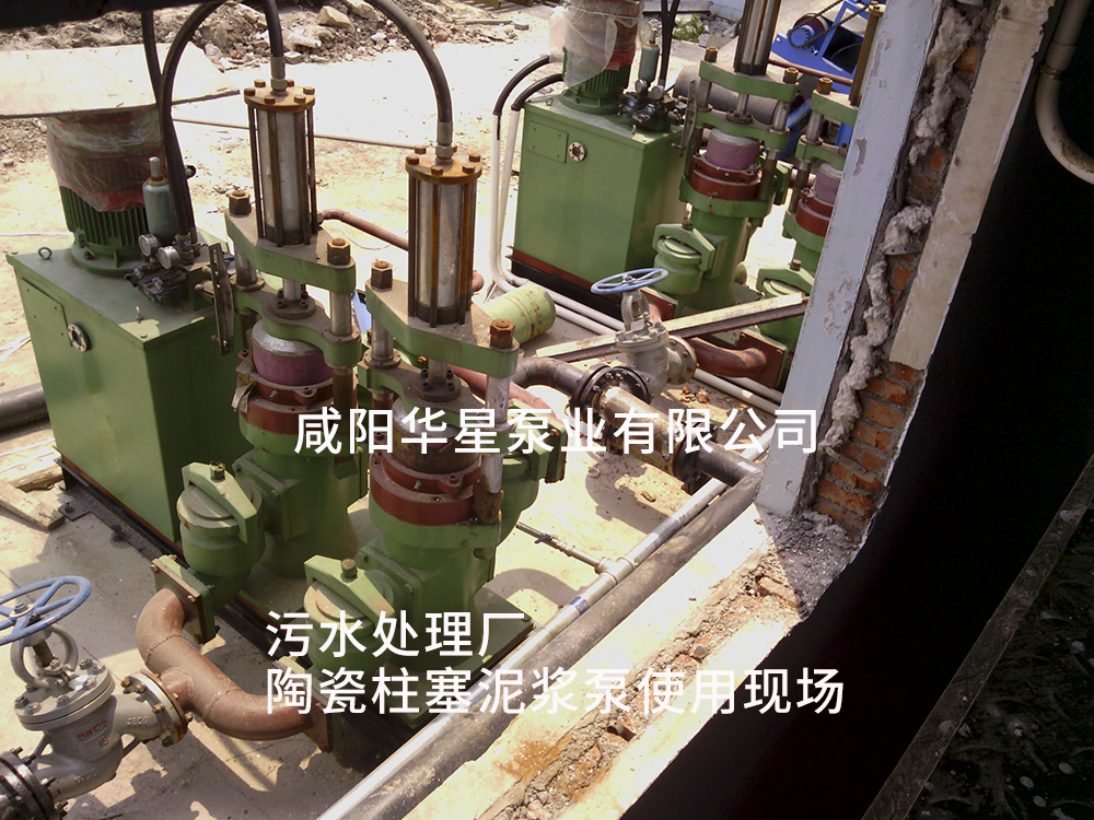 污水處理廠專(zhuan)用壓濾機(ji)泵